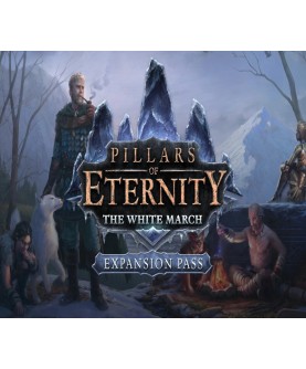 Pillars of Eternity: The White March Expansion Pass Gift Steam Key GLOBAL